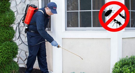 Mengen Bit İlaçlama böcek ilaçlama ve haşere kontrolü — ilaclama-tr.com